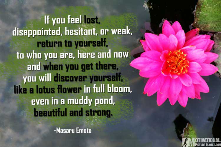 short quotes being strong by Masaru Emoto