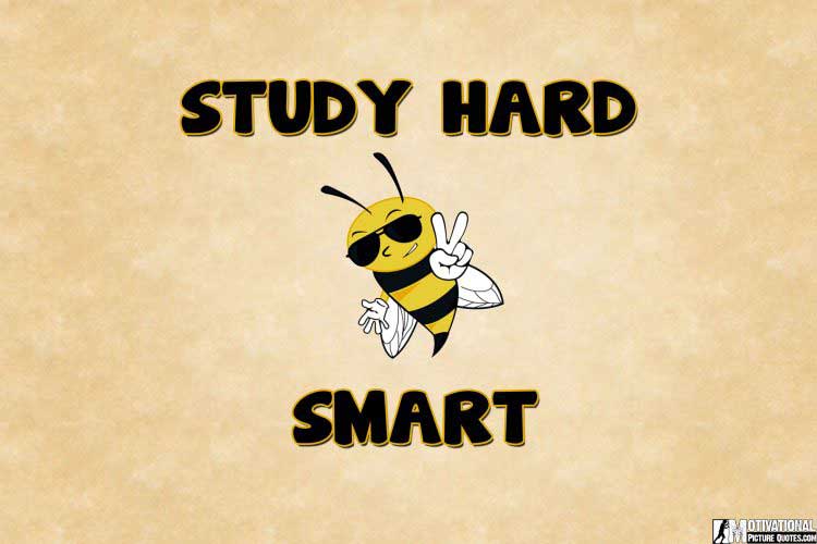 wallpapers of study
