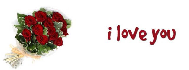 12 red roses meaning in valentines day