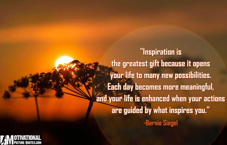Bernie Siegel Inspirational Quotes With Pictures