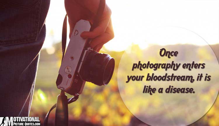 Photography Quotes images